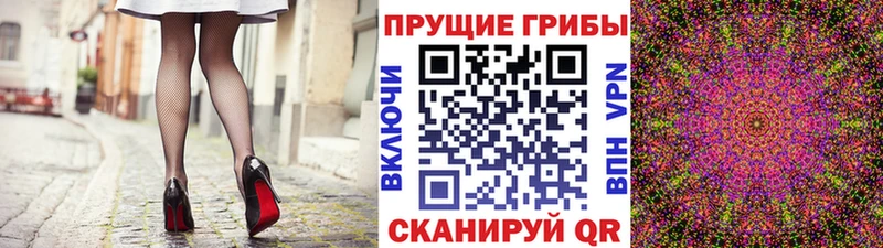 Галлюциногенные грибы GOLDEN TEACHER  дарк нет наркотические препараты  Бологое 