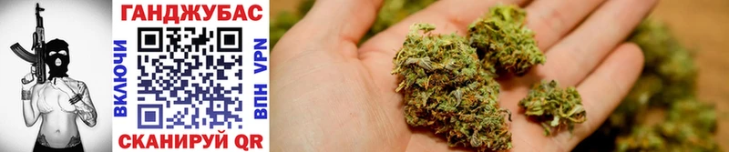 купить закладку  блэк спрут вход  Бошки марихуана THC 21%  Бологое 